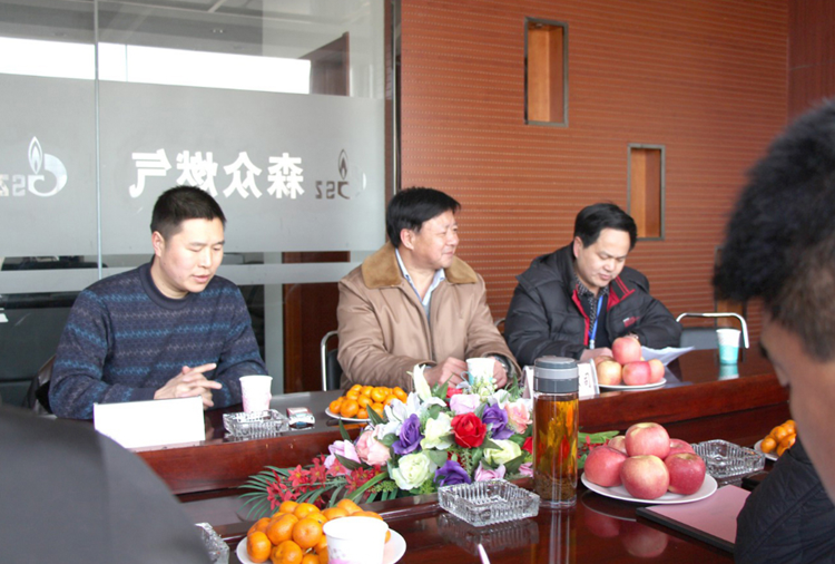 林口县政府与沈阳冉国文化遗产保护有限公司燃气项目洽谈.png